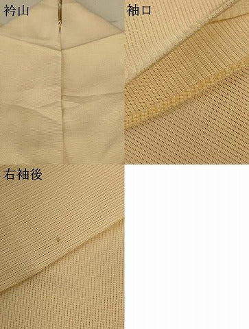 平和屋着物*夏物 訪問着 絽 草花文 正絹 逸品 AABE2666jd
