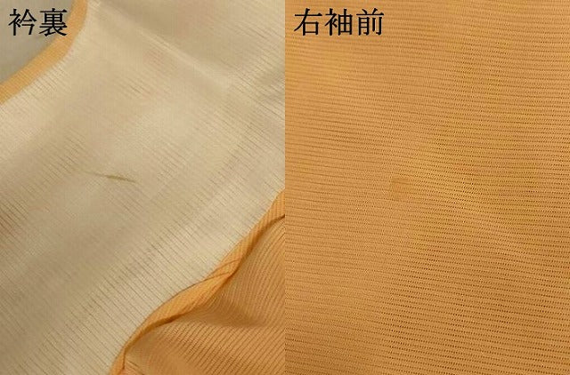 平和屋着物*夏物 訪問着 絽 草花文 正絹 逸品 AABE2688jd