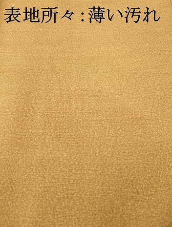 平和屋着物■上質な小紋 霞文 正絹 逸品 AABE3797fw
