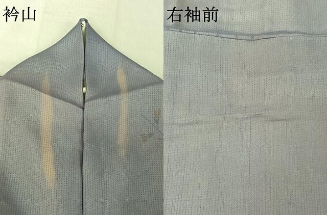 平和屋着物▽訪問着 無双 紗袷 紗×絽 草花文 正絹 逸品 AABE4086jh