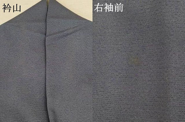 平和屋着物*夏物 江戸小紋 彫士:住田双光・染士:服部光擴 絽 鮫小紋柄 正絹 逸品 AABE4330jd