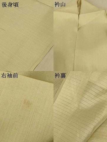 平和屋着物*夏物 訪問着 紗 作家物 草花文 正絹 逸品 AABE7471jd