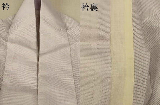 平和屋着物*夏物 訪問着 絽 舞蝶文 洗える着物 AABE7509jd