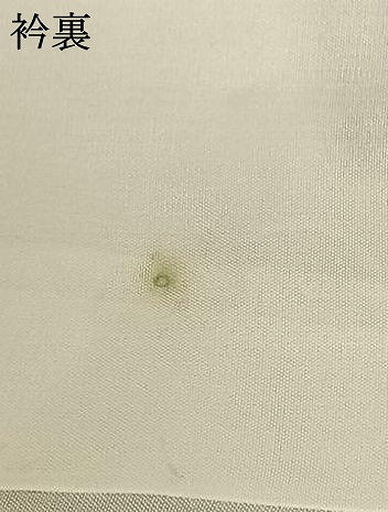 平和屋着物●訪問着 紬地 唐草花文 正絹 逸品 AABF0234fy