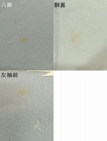 平和屋着物●訪問着 友禅 雪輪枝花文 丹後縮緬 金彩 反端付き ロング丈 正絹 逸品 AABL5484ck