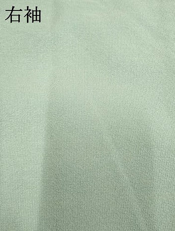 平和屋着物●訪問着 友禅 花筏文 暈し染め 金彩 正絹 逸品 AABF1001cs