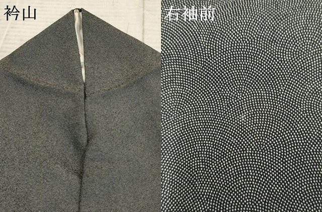平和屋着物●江戸小紋 草木染 鮫小紋柄 黒地 さが美扱い 正絹 逸品 AABF1054cs