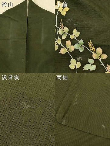 平和屋着物*夏物 訪問着 絽 枝葉文 金彩 正絹 逸品 AABF1575jd
