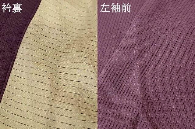 平和屋着物*夏物 色無地 絽 葡萄鼠色 正絹 逸品 AABF1599jd