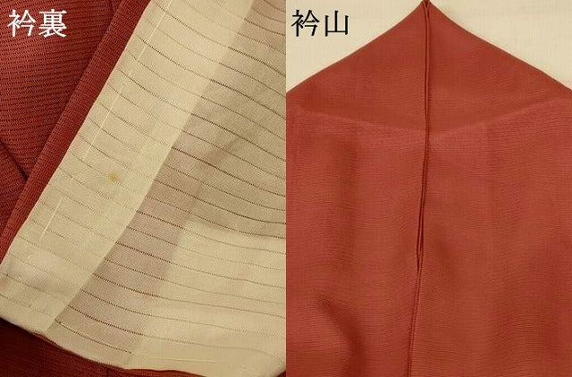 平和屋着物*夏物 色無地 絽 赭色 洗える着物 AABF1642jd