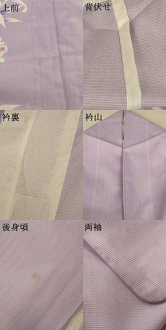 平和屋着物*夏物 訪問着 絽 草花文 洗える着物 AABF2779jd