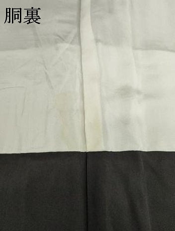 平和屋着物●訪問着 短冊花鳥文 暈し染め 金彩 ロング丈 正絹 逸品 AABF2848ck