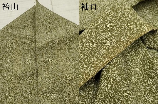 平和屋着物●江戸小紋 葡萄枝葉文 さが美扱い 正絹 逸品 AABF2958cs