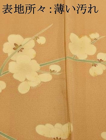 平和屋着物■訪問着 枝花文 正絹 逸品 AABF3298fw