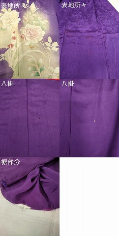 平和屋着物●アンティーク 大正ロマン 色留袖 草花文 暈し染め 正絹 逸品 AABF3590ck
