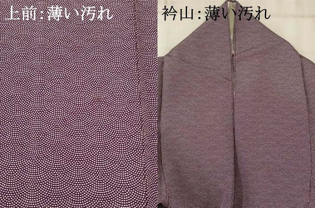 平和屋着物■江戸小紋 鮫小紋柄 正絹 逸品 AABF4381st