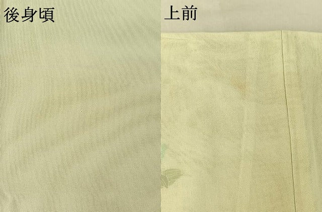 平和屋着物▽訪問着 無双 紗袷 紗×紗 草花文 金彩 正絹 逸品 AABF4426jh
