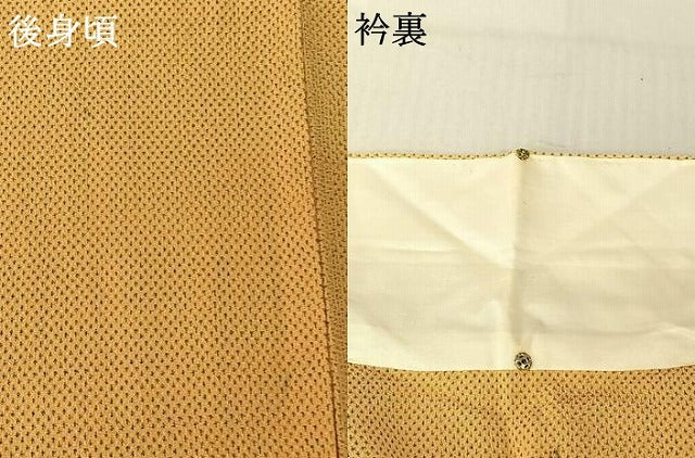 平和屋着物▽本塩沢 単衣 蚊絣 正絹 逸品 AABF4436jh