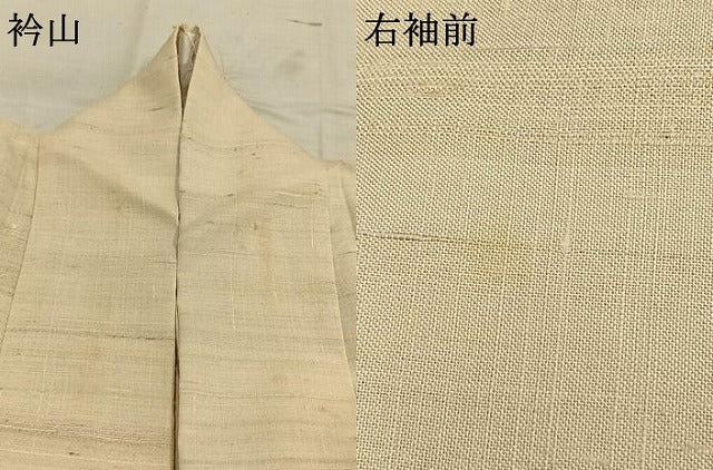 平和屋着物*夏物 訪問着 生紬 手描き 魚 エンゼルフィッシュ 正絹 逸品 AABF5680fy