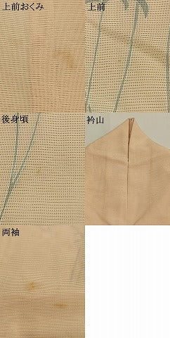 平和屋着物*夏物 訪問着 絽 草花文 暈し染め 正絹 逸品 AABF5807fy