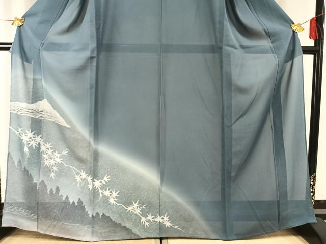 平和屋着物*夏物 訪問着 絽 風景文 暈し染め 銀彩 正絹 逸品 AABF5849fy
