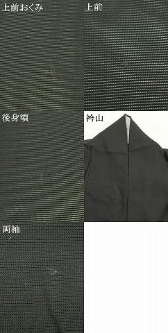 平和屋着物*夏物 訪問着 絽 手描き 勝虫 竹 暈し染め 黒地 金彩 正絹 逸品 AABF5865fy
