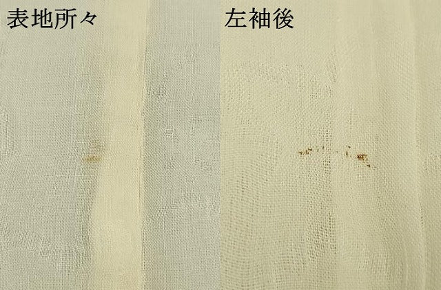 平和屋着物*夏物 長襦袢 紗 舞花地紋 生成り色 麻 AABF5874fy