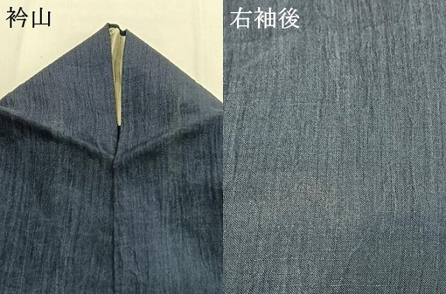 平和屋着物*夏物 訪問着 ちぢみ織 勝虫 綿麻 AABF5905fy
