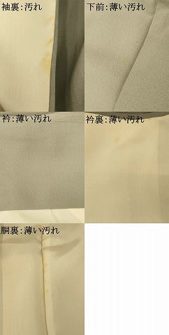 平和屋着物■訪問着 駒刺繍 地紙草花文 金銀彩 正絹 逸品 AABF8441fw