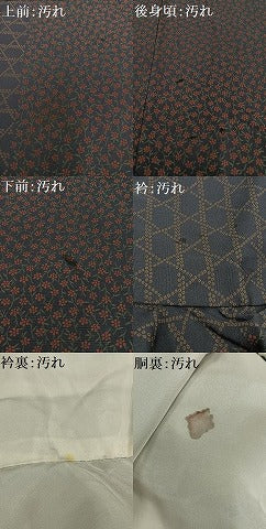 平和屋着物■上質な小紋 花間道 正絹 逸品 AABF8646oa
