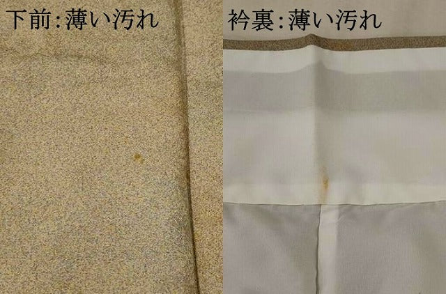 平和屋着物■色留訪問着 作家物 舞葉文 暈し染め 金彩 正絹 逸品 AABF8803st