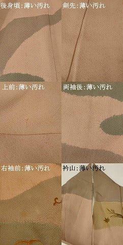 平和屋着物■訪問着 草花文 金彩 正絹 逸品 AABF8845st