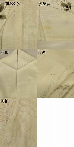 平和屋着物*夏物 訪問着 絽 手描き 草花文 洗える着物 AABF9461jd