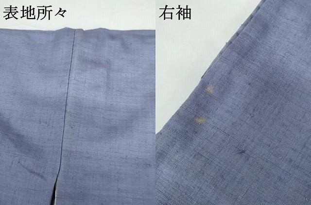 平和屋着物●訪問着 結城紬地 刺繍 葡萄蔦の葉文 金銀糸 正絹 逸品 AABG0302cs