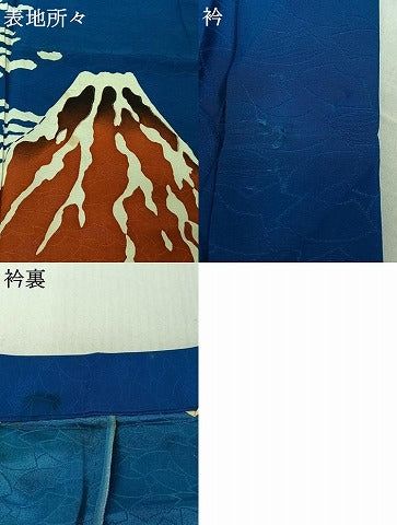 平和屋着物▽男性 訪問着 単衣 風景文 洗える着物 AABG0960jh