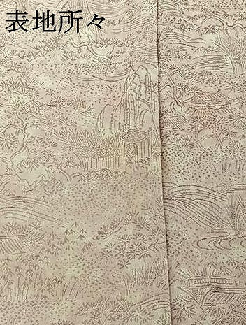 平和屋着物▽上質な小紋 単衣 お召地 流水風景文 正絹 逸品 AABG1010jh