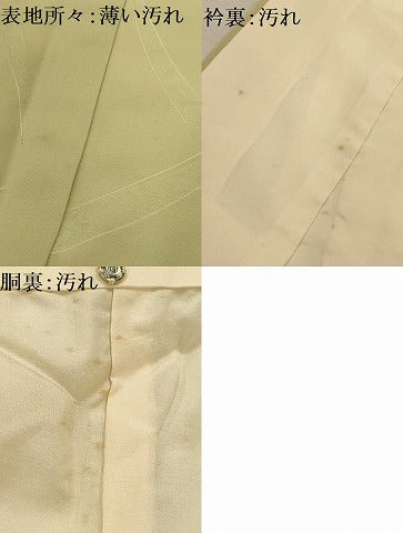 平和屋着物■上質な小紋 地紋起こし 雲取り花文 暈し染め 正絹 逸品 AABG1131sx