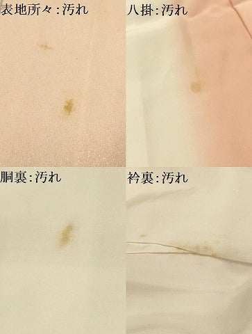 平和屋着物■訪問着 枝花文 暈し染め 金彩 正絹 逸品 AABG1193sx