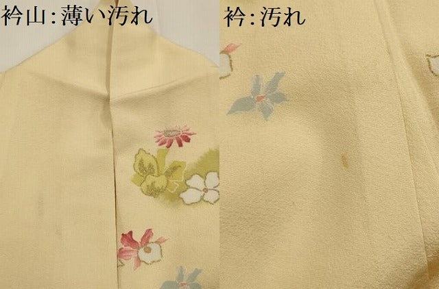 平和屋着物■訪問着 舞花文 金彩 正絹 逸品 AABG1314sx