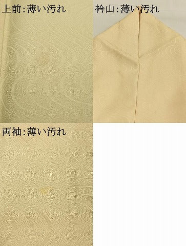 平和屋着物■訪問着 手描き 草花文 金彩 大丸扱い 洗える着物 AABG1736fy