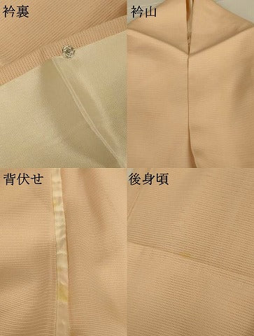 平和屋着物*夏物 訪問着 絽 友禅 草花文 暈し染め 正絹 逸品 AABG2006jd
