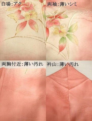 平和屋着物■訪問着 駒刺繍 草花文 暈し染め 金彩 正絹 逸品 AABG2526ck