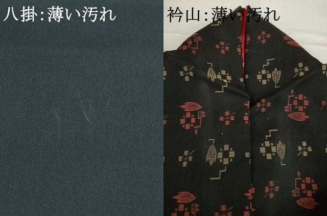 平和屋着物■アンティーク 大正ロマン 紬 草花文 黒地 正絹 逸品 AABG2618ck