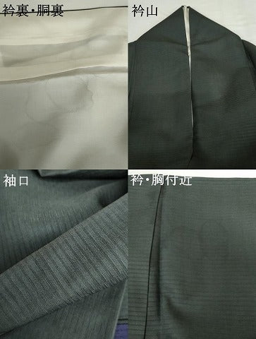 平和屋着物●色留訪問着 お召地 寿光織 横段文 金糸 ますいわ屋扱い ロング丈 正絹 逸品 AABG2699cs