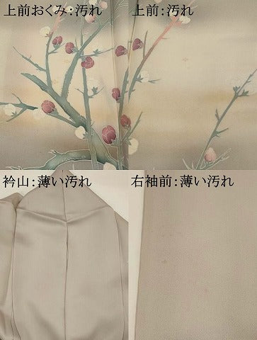 平和屋着物■訪問着 流水花鳥文 暈し染め 金糸 正絹 逸品 AABG2905st