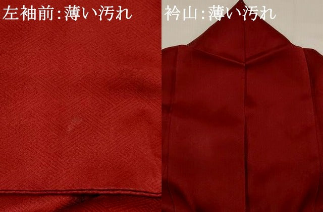 平和屋着物■訪問着 竹屋町刺繍 草花文 暈し染め 金銀糸 正絹 逸品 AABG2956st