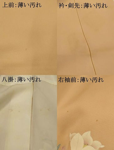 平和屋着物■訪問着 草花文 正絹 逸品 AABG2965st
