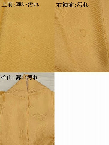 平和屋着物■訪問着 紗綾形地紋 暈し染め 正絹 逸品 AABG2998st