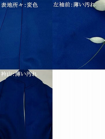 平和屋着物■訪問着 草花文 暈し染め 正絹 逸品 AABG3006st