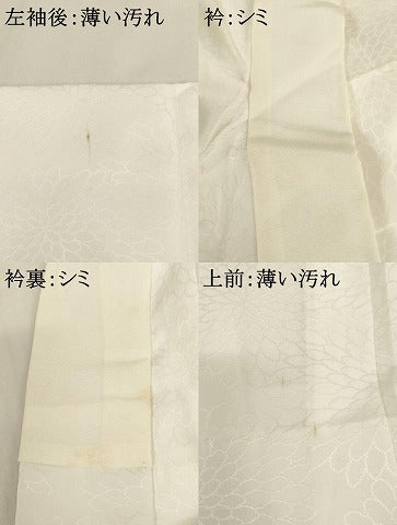 平和屋着物■長襦袢 無双仕立て 乱菊地紋 白色 洗える着物 AABG3308ja